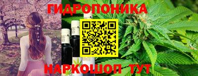 молекула духа Заволжье