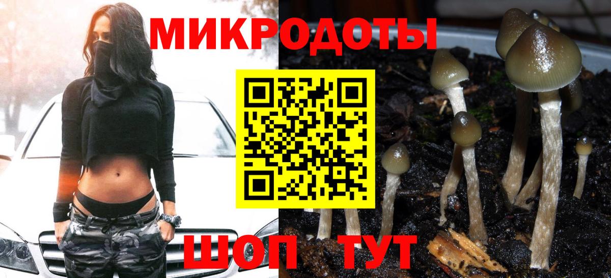 Псилоцибиновые грибы мухоморы  Вход с VPN  Мариинск 