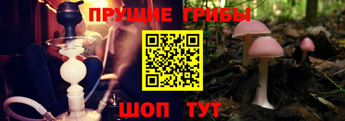 Псилоцибиновые грибы мухоморы Мариинск
